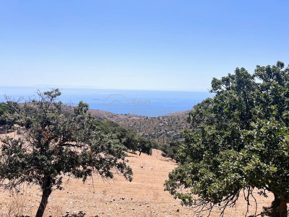 Αγροτεμάχια 16.246 τ.μ. πρός πώληση, Κυκλάδες, Κέα