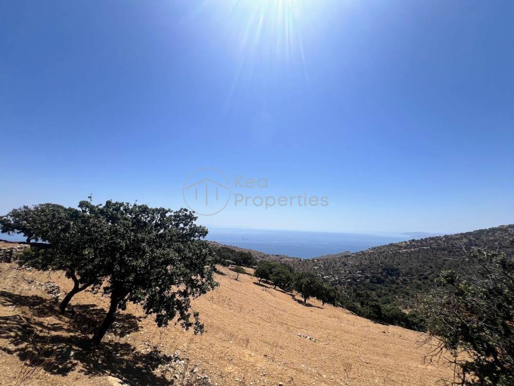 Αγροτεμάχια 16.246 τ.μ. πρός πώληση, Κυκλάδες, Κέα