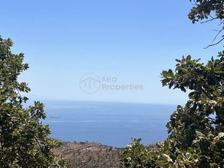 Αγροτεμάχια 16.246 τ.μ. για πώληση