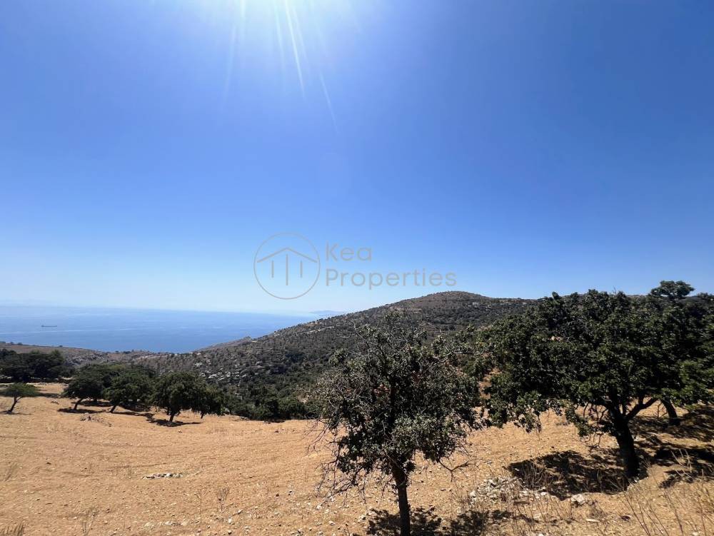 Αγροτεμάχια 16.246 τ.μ. πρός πώληση, Κυκλάδες, Κέα