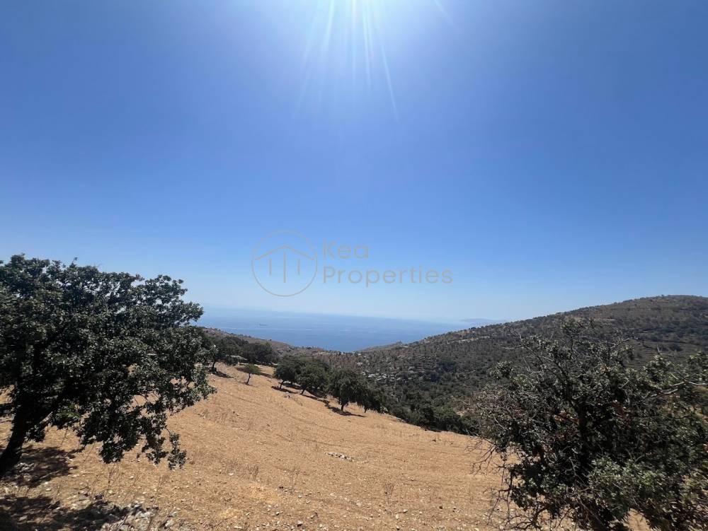Αγροτεμάχια 16.246 τ.μ. πρός πώληση, Κυκλάδες, Κέα