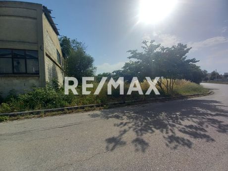 Αποθήκη 300τ.μ. για ενοικίαση-Θέρμη » Τριάδιο