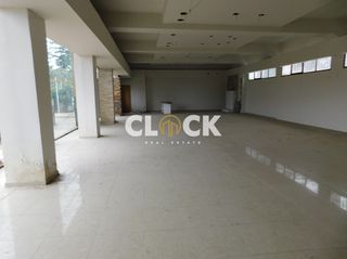 Βιομηχανικός χώρος 500 τ.μ. για ενοικίαση