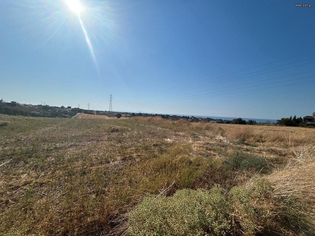 Οικόπεδο 6.450 τ.μ. πρός πώληση, Εβρος, Αλεξανδρούπολη
