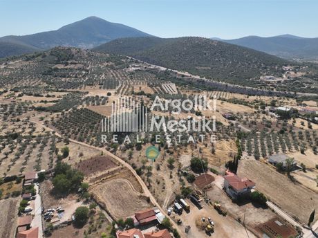 Αγροτεμάχια 3.075τ.μ. για πώληση-Ασκληπιείο » Λυγουριό