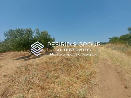 Parcel 4.000sqm for sale-Epanomi » Center
