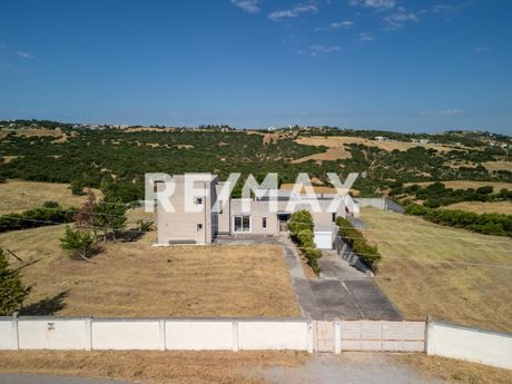 Μονοκατοικία 462τ.μ. για πώληση-Θέρμη » Ταγαράδες