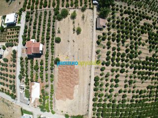 Οικόπεδο 3.947,20 τ.μ. για πώληση, Αργολίδα, Άργος-thumb-8