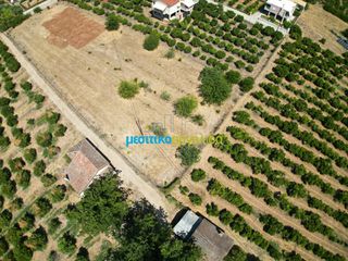 Οικόπεδο 3.947,20 τ.μ. για πώληση, Αργολίδα, Άργος-thumb-3