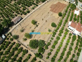 Οικόπεδο 3.947,20 τ.μ. για πώληση, Αργολίδα, Άργος-thumb-5