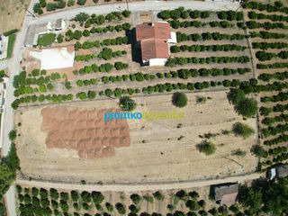 Οικόπεδο 3.947,20 τ.μ. για πώληση, Αργολίδα, Άργος-thumb-9