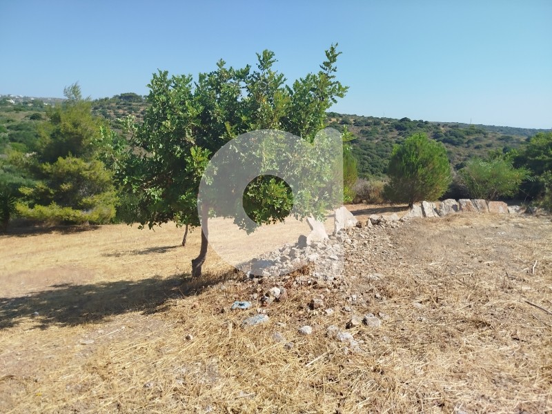 Μονοκατοικία 140 τ.μ. πρός πώληση, Λακωνία, Κύθηρα