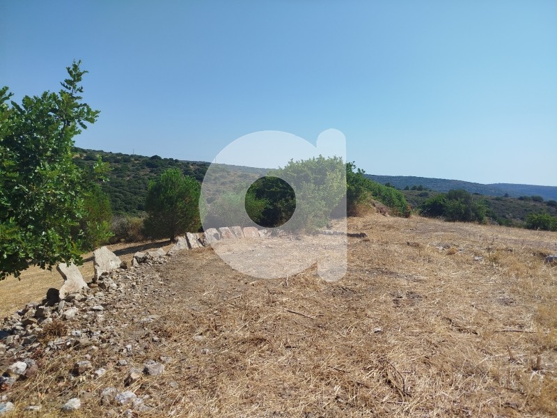 Μονοκατοικία 140 τ.μ. πρός πώληση, Λακωνία, Κύθηρα
