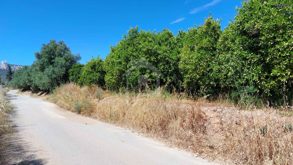 Αγροτεμάχια 3.900 τ.μ. προς πώληση, Κουτρούμπος