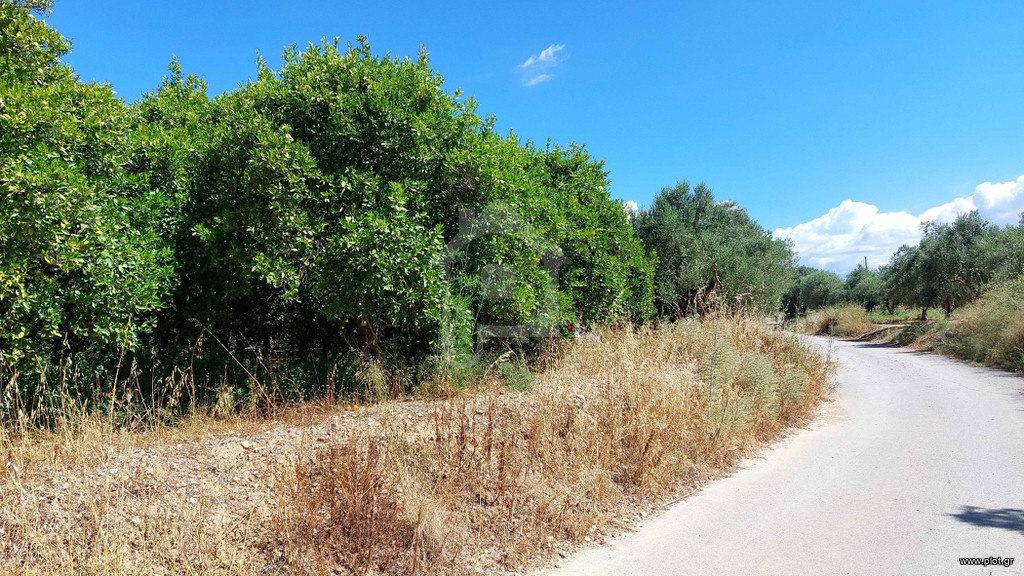 Αγροτεμάχια 3.900 τ.μ. προς πώληση, Κουτρούμπος