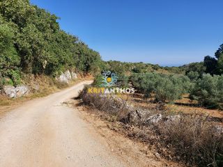 Οικόπεδο 1.200 τ.μ. για πώληση