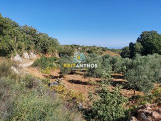 Οικόπεδο 1.200 τ.μ. για πώληση, Ν. Ρεθύμνου, Ρέθυμνο-thumb-1