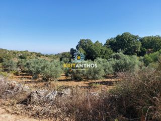 Οικόπεδο 1.200 τ.μ. για πώληση, Ν. Ρεθύμνου, Ρέθυμνο-thumb-3