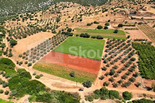 Αγροτεμάχια 17.900 τ.μ. για πώληση, Αργολίδα, Κρανίδι-thumb-5