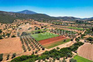 Αγροτεμάχια 17.900 τ.μ. για πώληση, Αργολίδα, Κρανίδι-thumb-17