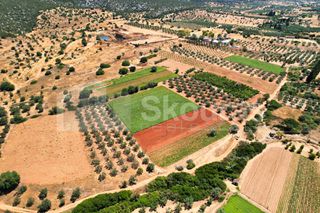 Αγροτεμάχια 17.900 τ.μ. για πώληση, Αργολίδα, Κρανίδι-thumb-13