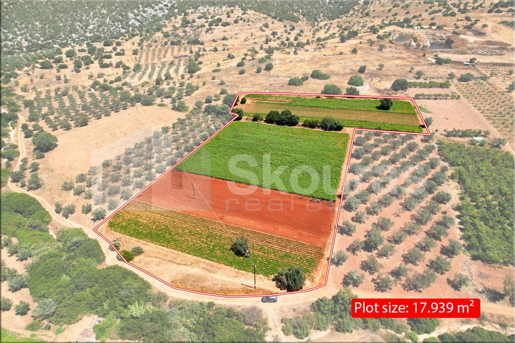 Αγροτεμάχια 17.900 τ.μ. για πώληση, Αργολίδα, Κρανίδι