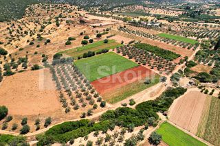 Αγροτεμάχια 17.900 τ.μ. για πώληση, Αργολίδα, Κρανίδι-thumb-14