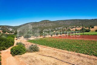 Αγροτεμάχια 17.900 τ.μ. για πώληση, Αργολίδα, Κρανίδι-thumb-23