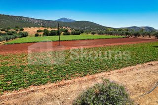 Αγροτεμάχια 17.900 τ.μ. για πώληση, Αργολίδα, Κρανίδι-thumb-21