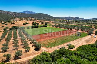 Αγροτεμάχια 17.900 τ.μ. για πώληση, Αργολίδα, Κρανίδι-thumb-19