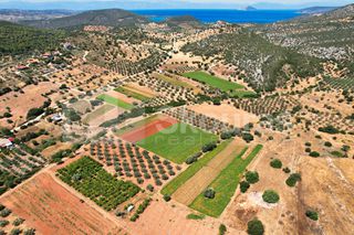 Αγροτεμάχια 17.900 τ.μ. για πώληση, Αργολίδα, Κρανίδι-thumb-2