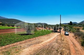 Αγροτεμάχια 17.900 τ.μ. για πώληση, Αργολίδα, Κρανίδι-thumb-24