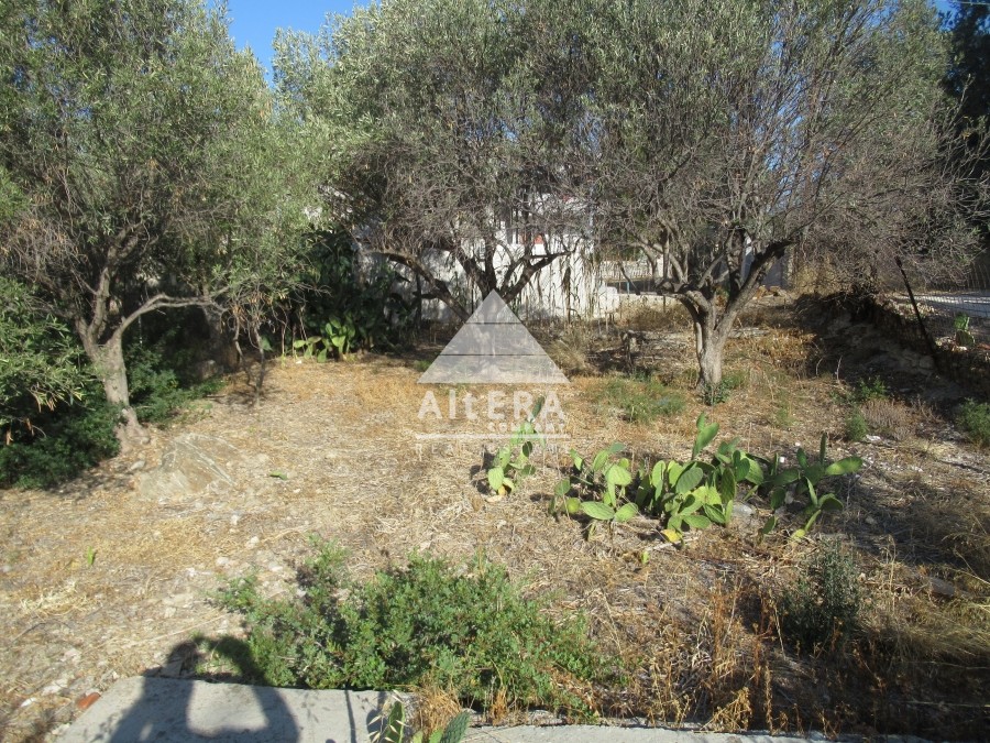 Αγροτεμάχια 350 τ.μ. προς πώληση, Βαθύ Αίγινας