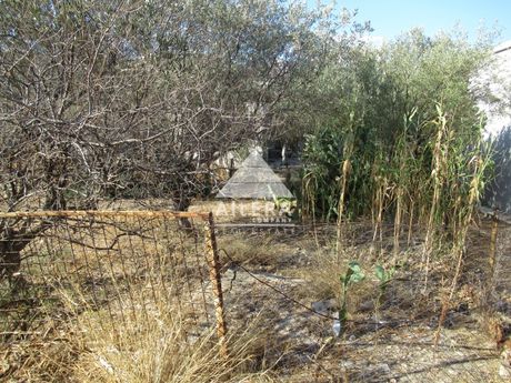 Αγροτεμάχια 350τ.μ. για πώληση-Αίγινα » Κάβος