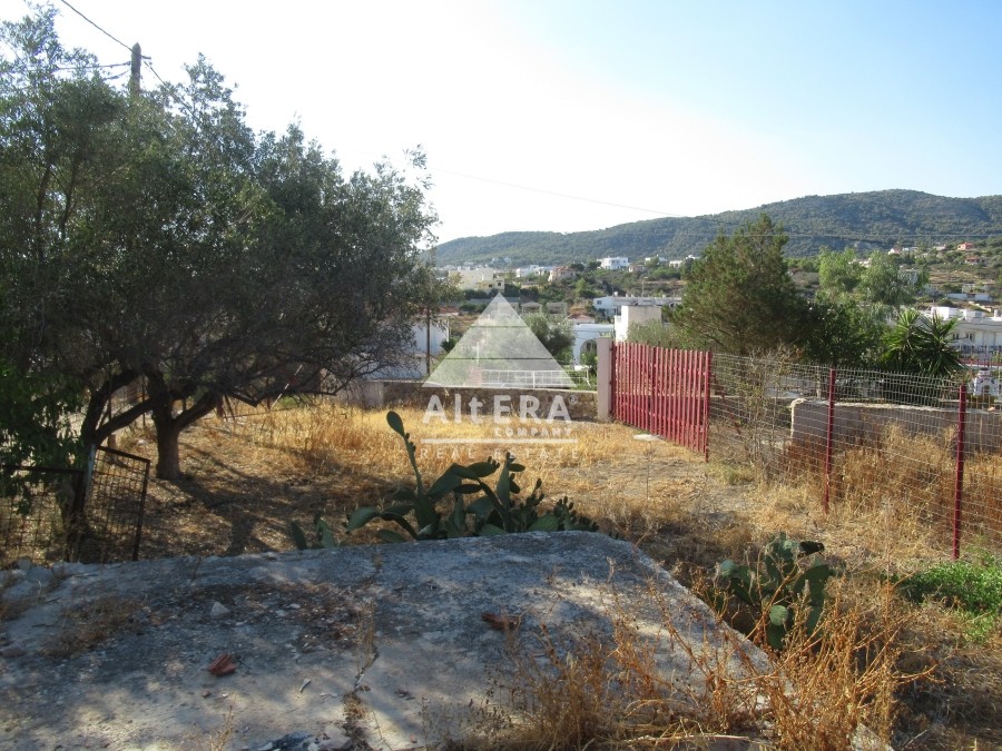 Αγροτεμάχια 350 τ.μ. προς πώληση, Βαθύ Αίγινας