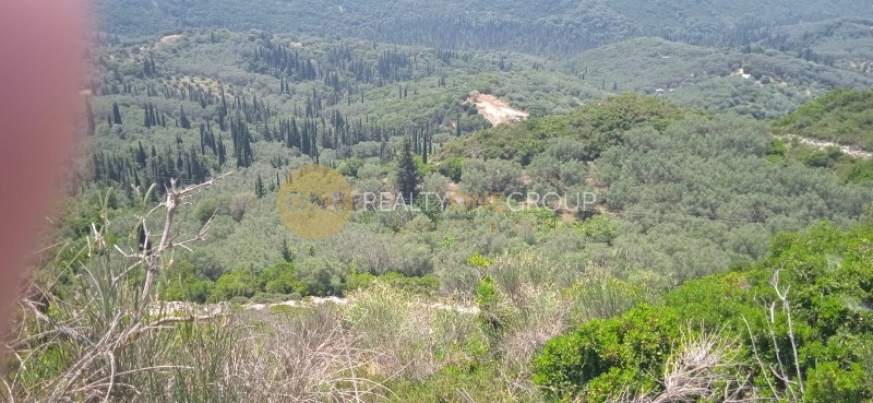 Αγροτεμάχια 6.163 τ.μ. πρός πώληση, Ν. Κέρκυρας, Κέρκυρα