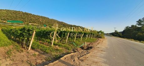 Αγροτεμάχια 2.500τ.μ. για πώληση-Ελευθερές » Μυρτόφυτο