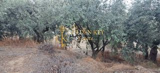 Αγροτεμάχια 424 τ.μ. για πώληση, Ν. Καβάλας, Ελευθερές-thumb-2
