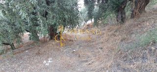 Αγροτεμάχια 424 τ.μ. για πώληση, Ν. Καβάλας, Ελευθερές-thumb-3