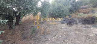 Αγροτεμάχια 424 τ.μ. για πώληση, Ν. Καβάλας, Ελευθερές-thumb-1