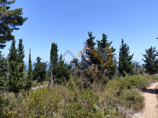 Αγροτεμάχια 3.014 τ.μ. για πώληση, Ν. Λευκάδας, Λευκάδα-thumb-9
