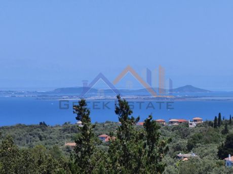 Αγροτεμάχια 3.014τ.μ. για πώληση-Λευκάδα