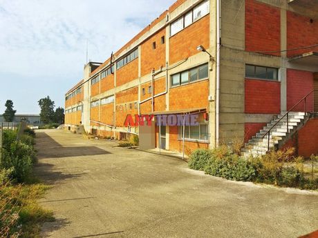 Βιομηχανικός χώρος 3.600τ.μ. για ενοικίαση-Εχέδωρος » Σίνδος
