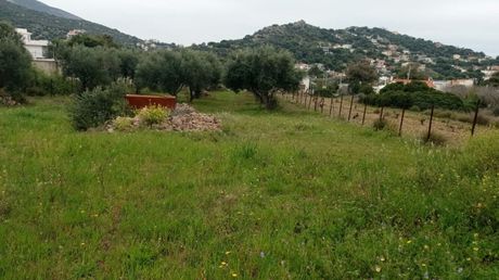 Οικόπεδο 1.130τ.μ. για πώληση-Κορωπί » Άγιος δημήτριος