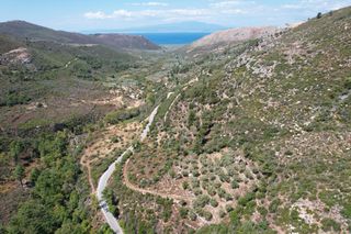 Αγροτεμάχια 1.645 τ.μ. για πώληση
