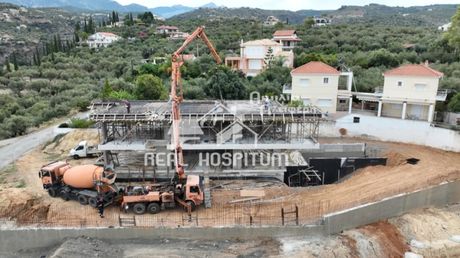 Άλλο 540τ.μ. για πώληση-Αβία » Αρχοντικό