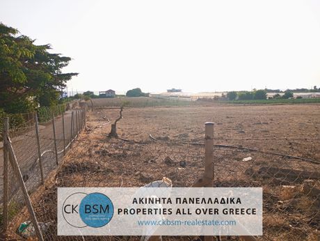 Land plot 4.250sqm for sale-Filiatra » Agia Kiriaki