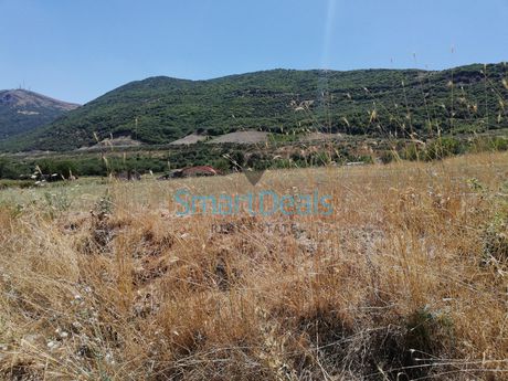 Οικόπεδο 4.300τ.μ. για πώληση-Μπιζάνιο