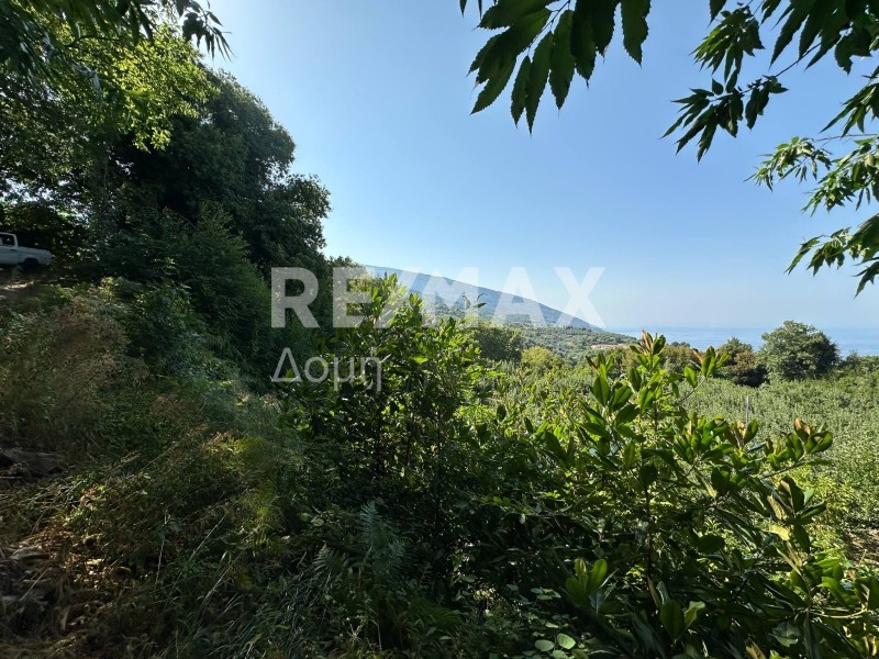Αγροτεμάχια 7.070,63 τ.μ. πρός πώληση, Μαγνησία, Ζαγορά