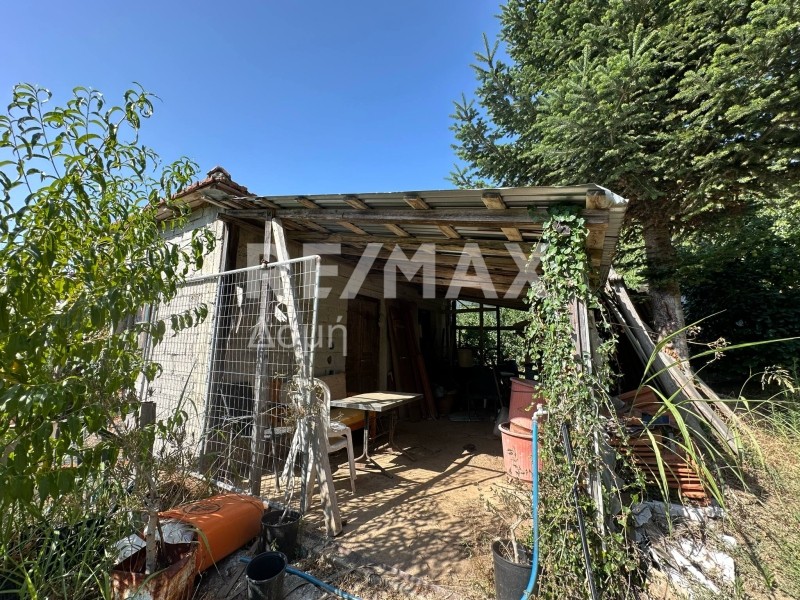 Αγροτεμάχια 7.070,63 τ.μ. πρός πώληση, Μαγνησία, Ζαγορά